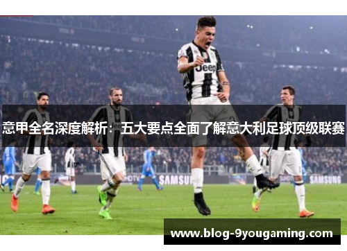 意甲全名深度解析：五大要点全面了解意大利足球顶级联赛