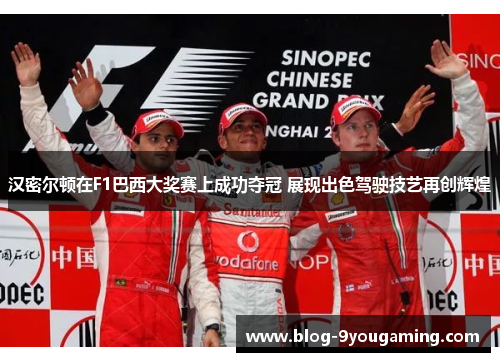 汉密尔顿在F1巴西大奖赛上成功夺冠 展现出色驾驶技艺再创辉煌