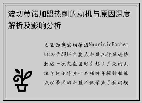 波切蒂诺加盟热刺的动机与原因深度解析及影响分析