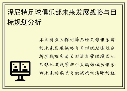 泽尼特足球俱乐部未来发展战略与目标规划分析 泽尼特足球俱乐部未来发展战略与目标规划分析